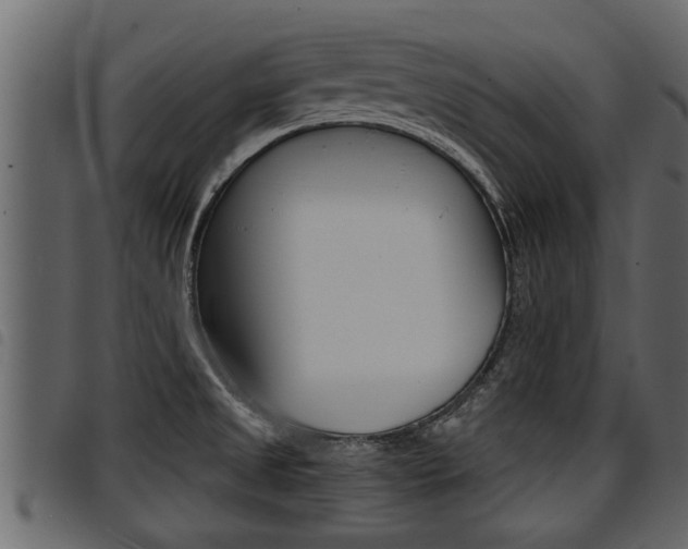 X0000094951525200711291054