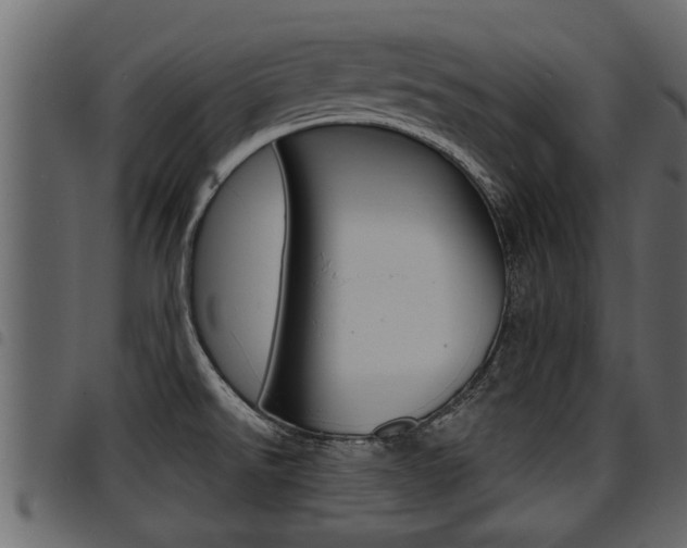 X0000094951526200711291054