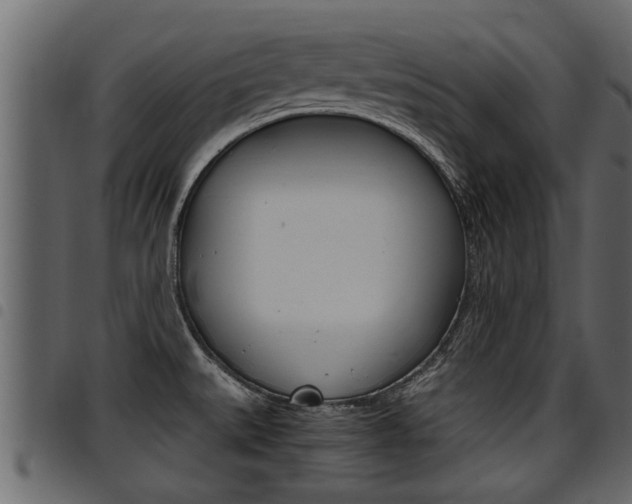 X0000094951527200711291054