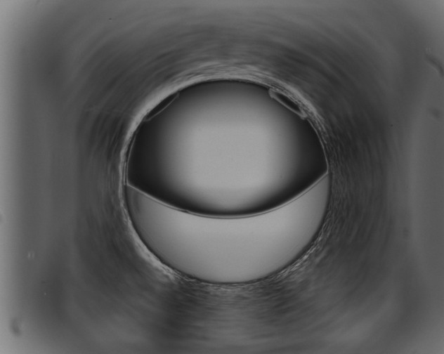 X0000094951528200711291054
