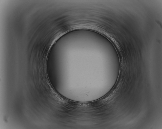 X0000094951529200711291054