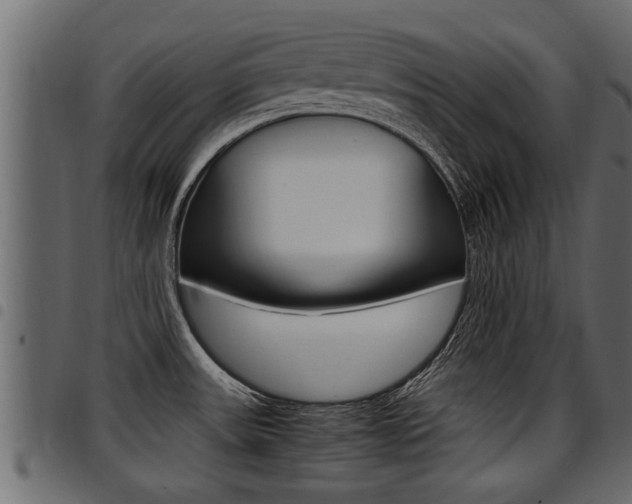 X0000094951531200711291054