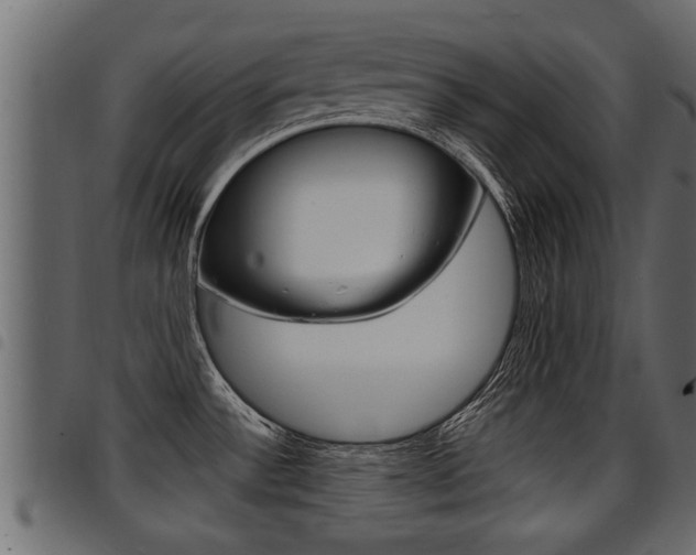 X0000094951532200711291054