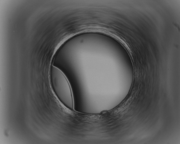 X0000094951533200711291054