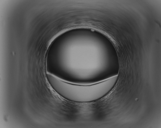 X0000094951534200711291054