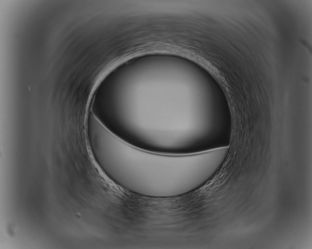 X0000094951536200711291054