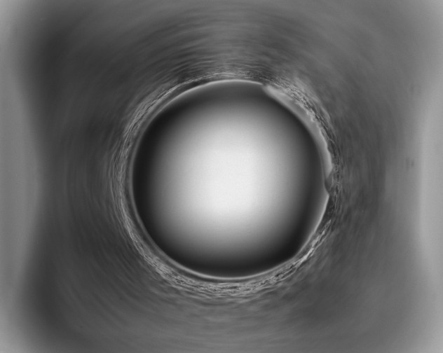 X0000094950001200711291423