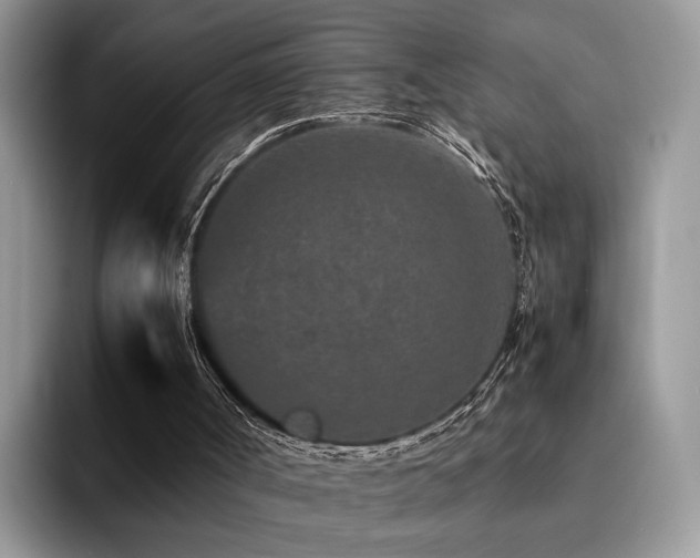 X0000094950002200711291423