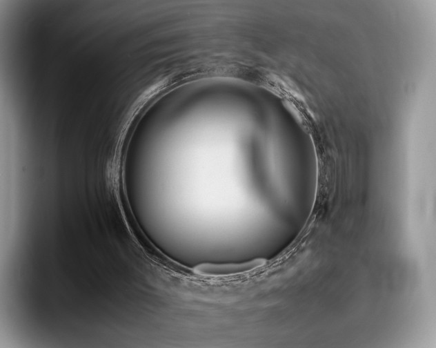 X0000094950003200711291423