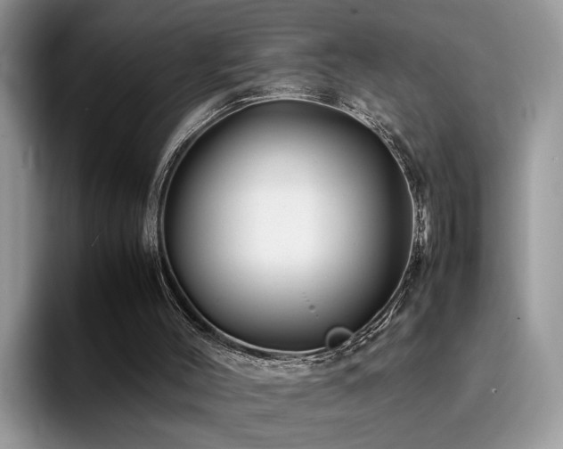 X0000094950004200711291423