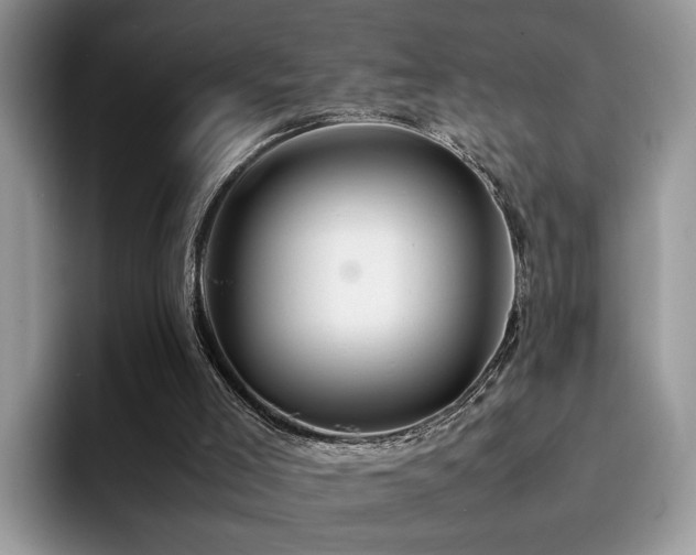 X0000094950005200711291423