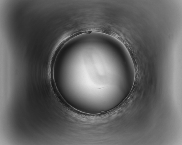 X0000094950006200711291423