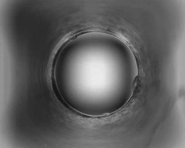 X0000094950007200711291423