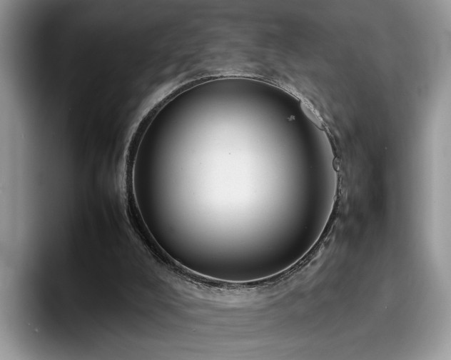 X0000094950008200711291423