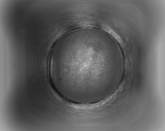 X0000094950009200711291422