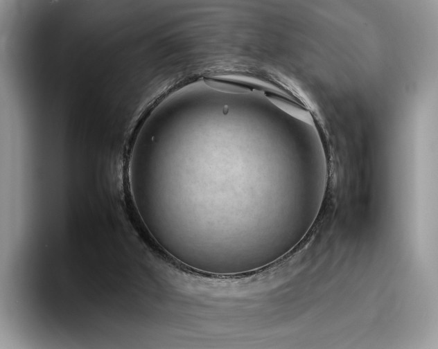 X0000094950010200711291422