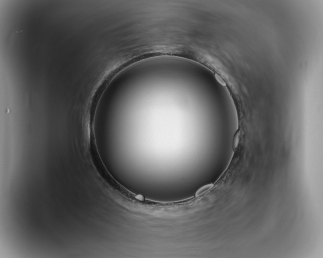 X0000094950011200711291422