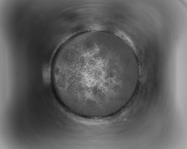 X0000094950012200711291422