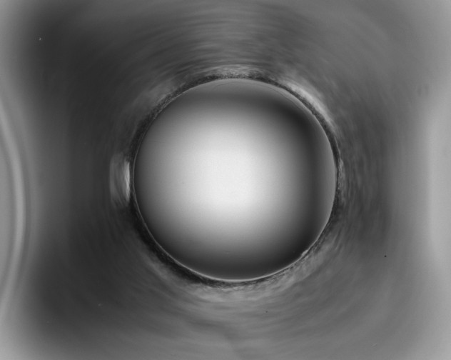 X0000094950013200711291422