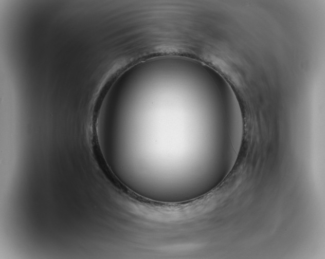 X0000094950015200711291422