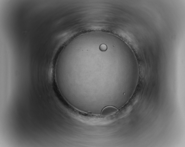 X0000094950016200711291422