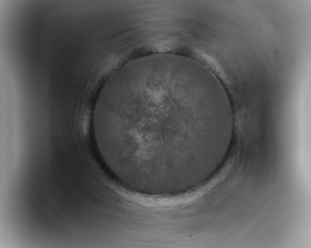 X0000094950018200711291422