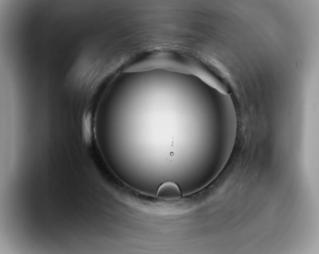 X0000094950020200711291422