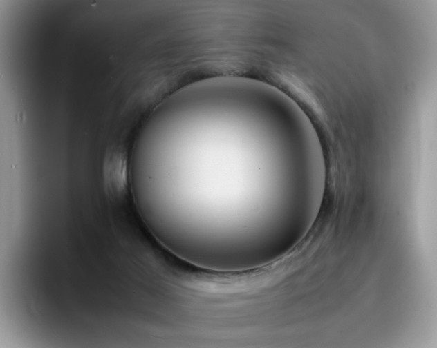 X0000094950021200711291422