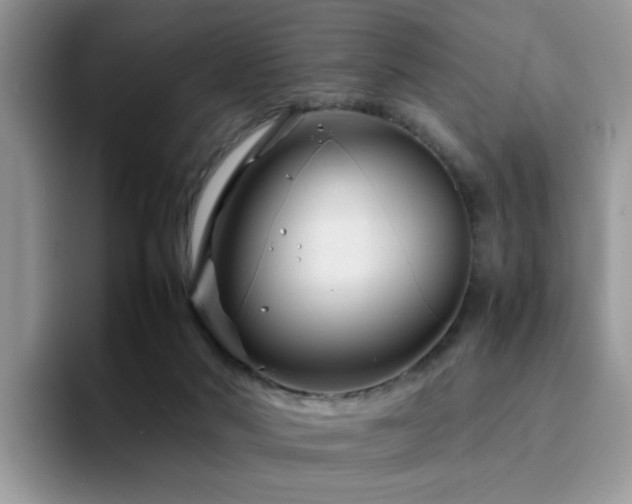 X0000094950022200711291422