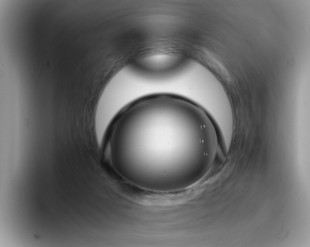 X0000094950025200711291422