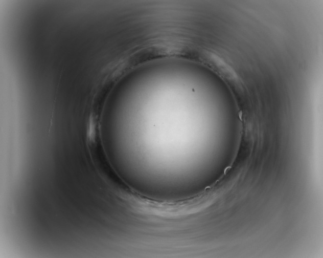 X0000094950026200711291422