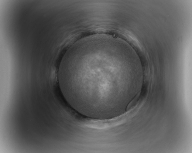 X0000094950029200711291422