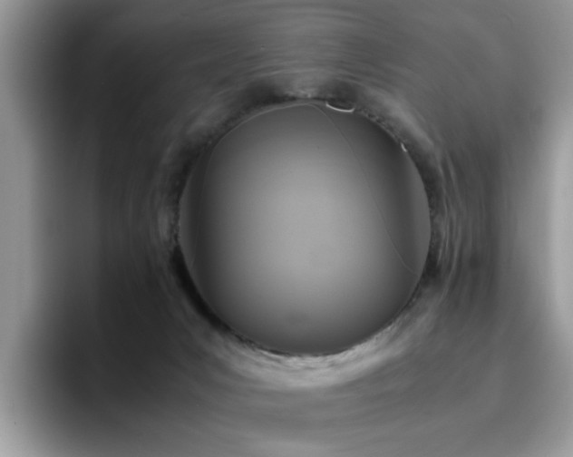 X0000094950031200711291422