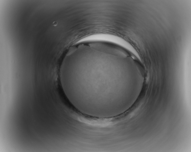 X0000094950032200711291422