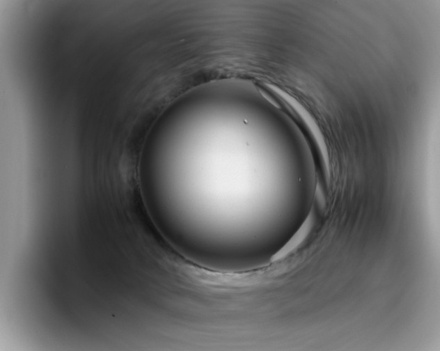 X0000094950034200711291422