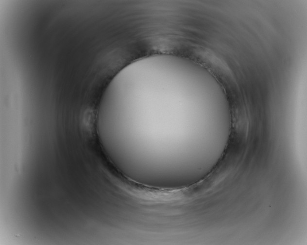 X0000094950036200711291422