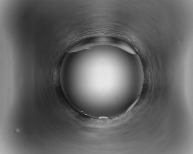 X0000094950037200711291422