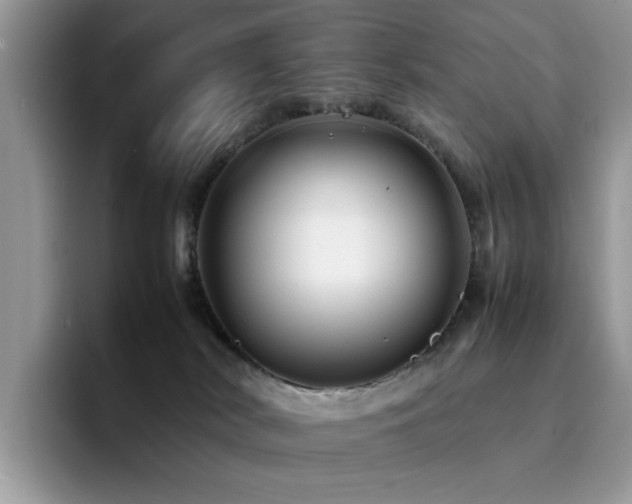 X0000094950038200711291422