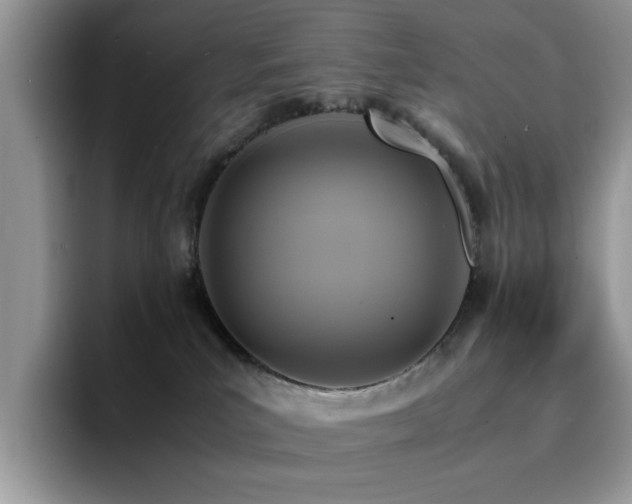 X0000094950039200711291422