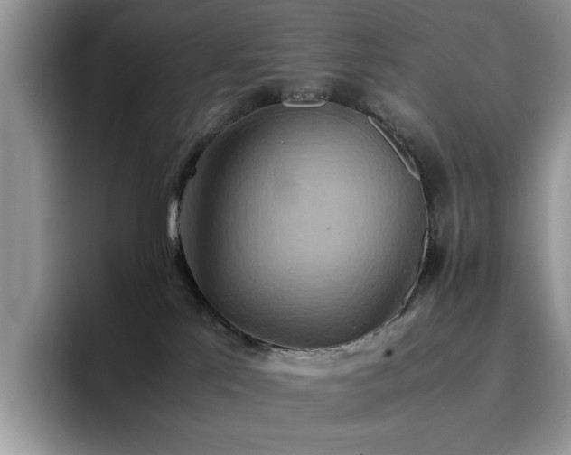 X0000094950041200711291422