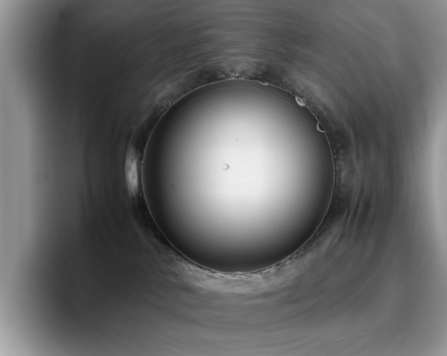 X0000094950042200711291422