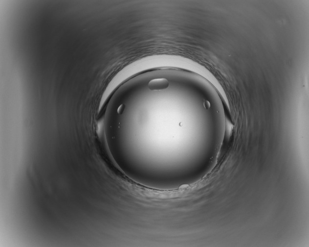 X0000094950043200711291422