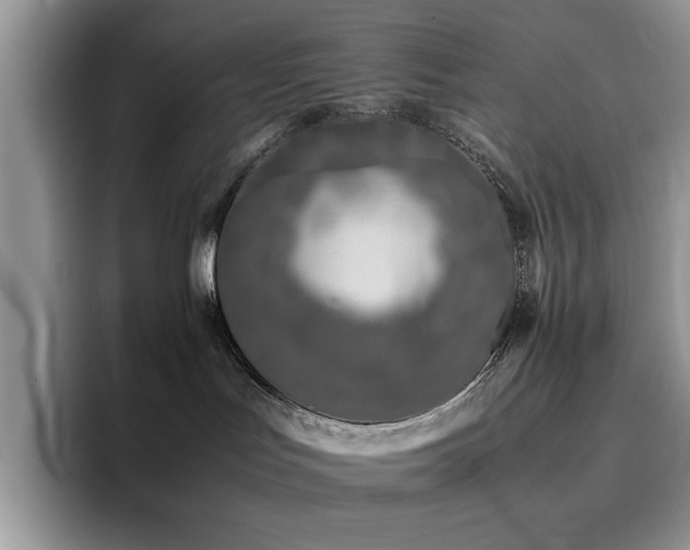 X0000094950047200711291422