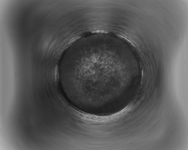 X0000094950048200711291422