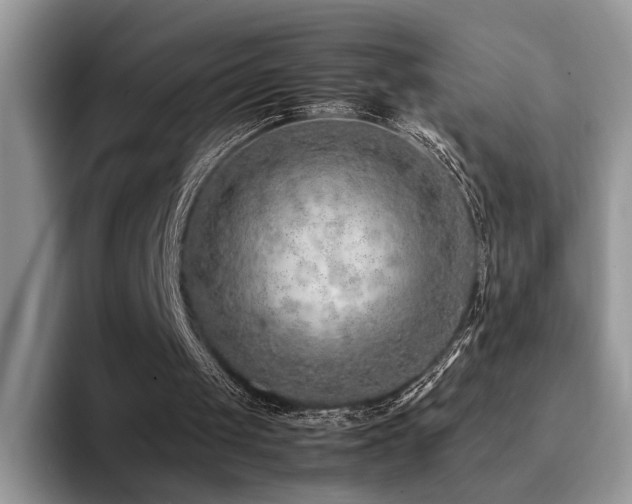 X0000094950049200711291421