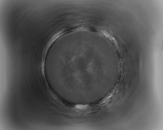 X0000094950051200711291421