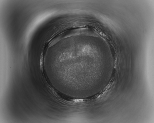 X0000094950052200711291421