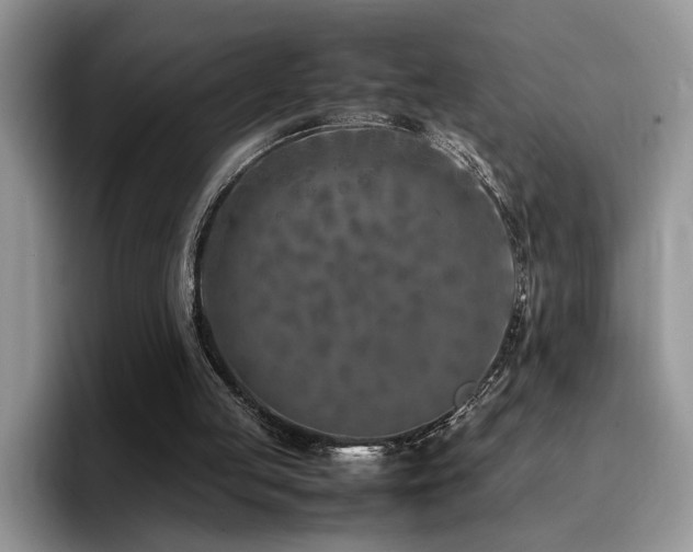 X0000094950053200711291421