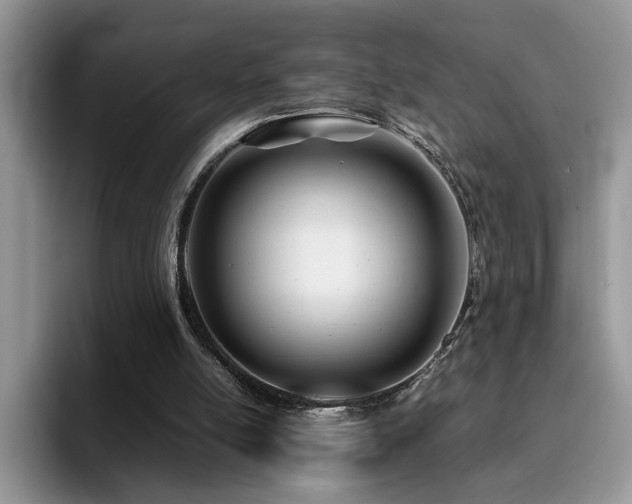 X0000094950054200711291421