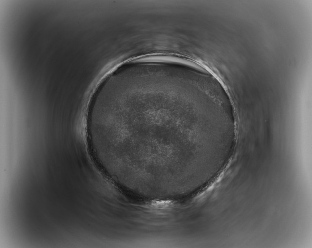 X0000094950055200711291421